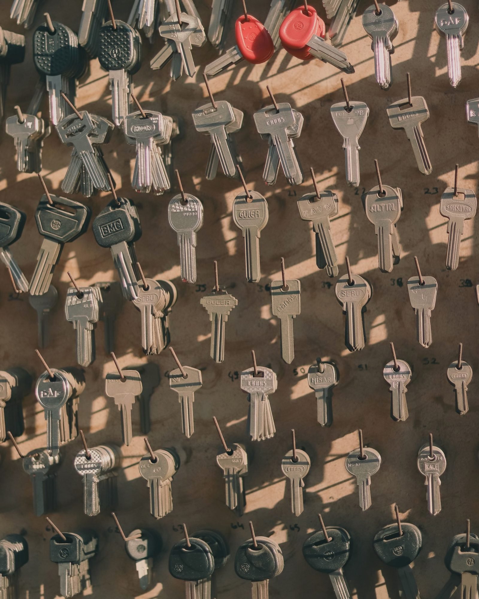 Rows of uncut key blanks hanging on pegs in afternoon light